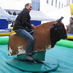 Symulator byk rodeo buffalo