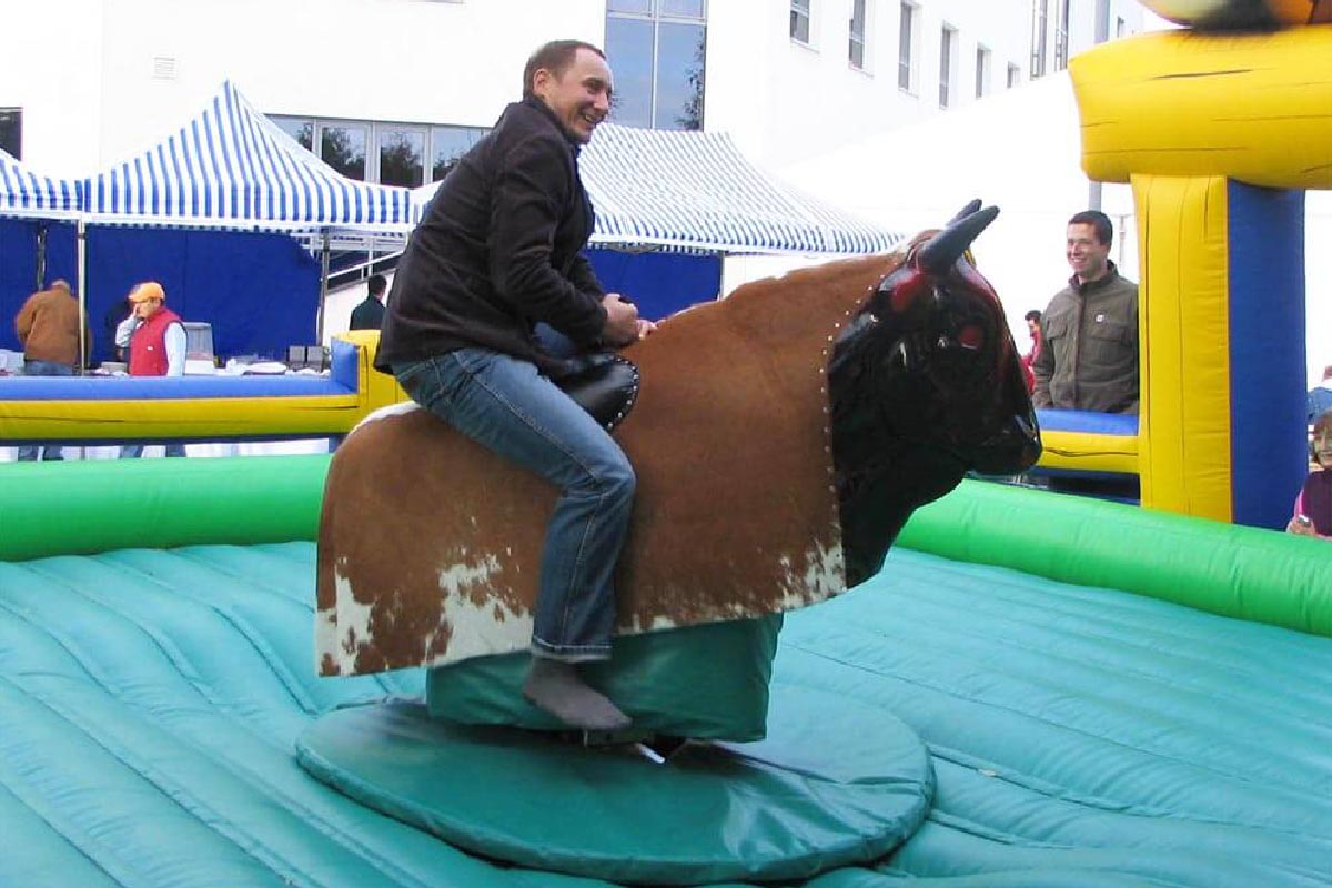 Symulator byk rodeo buffalo