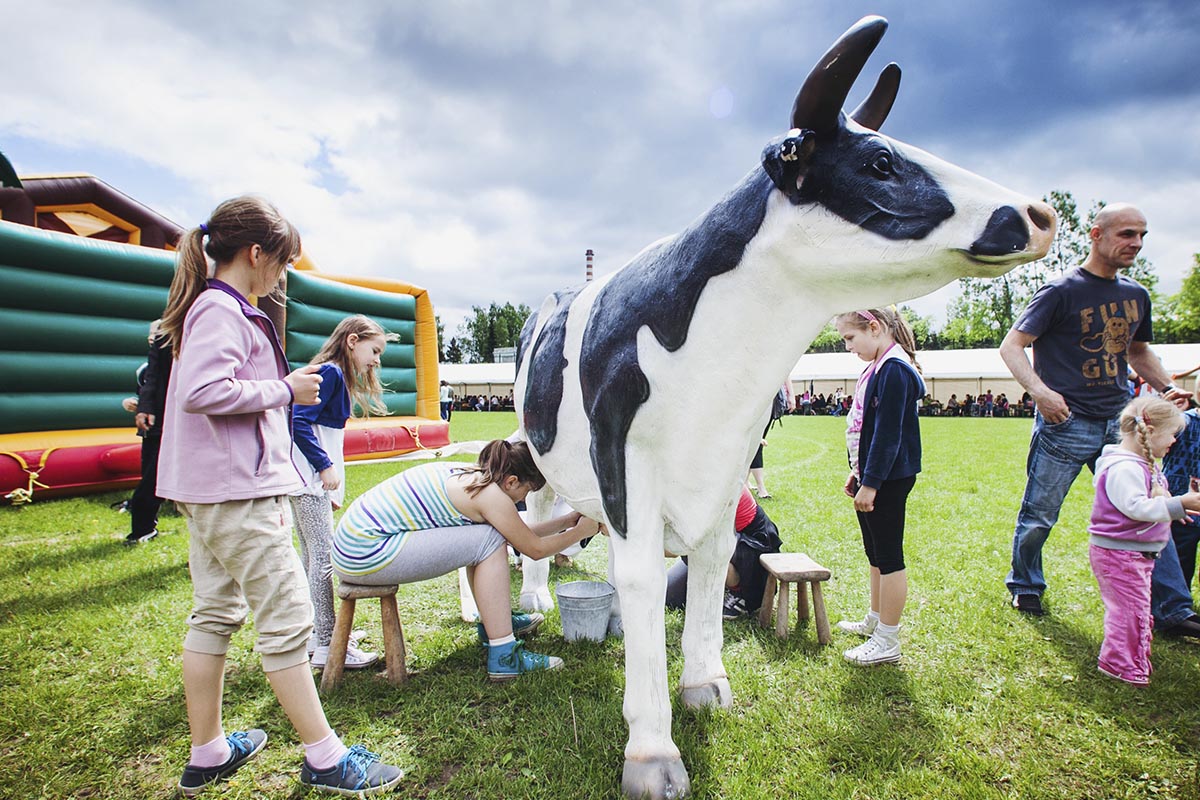 Konkurs dojenia sztucznej krowy - obrazek 2