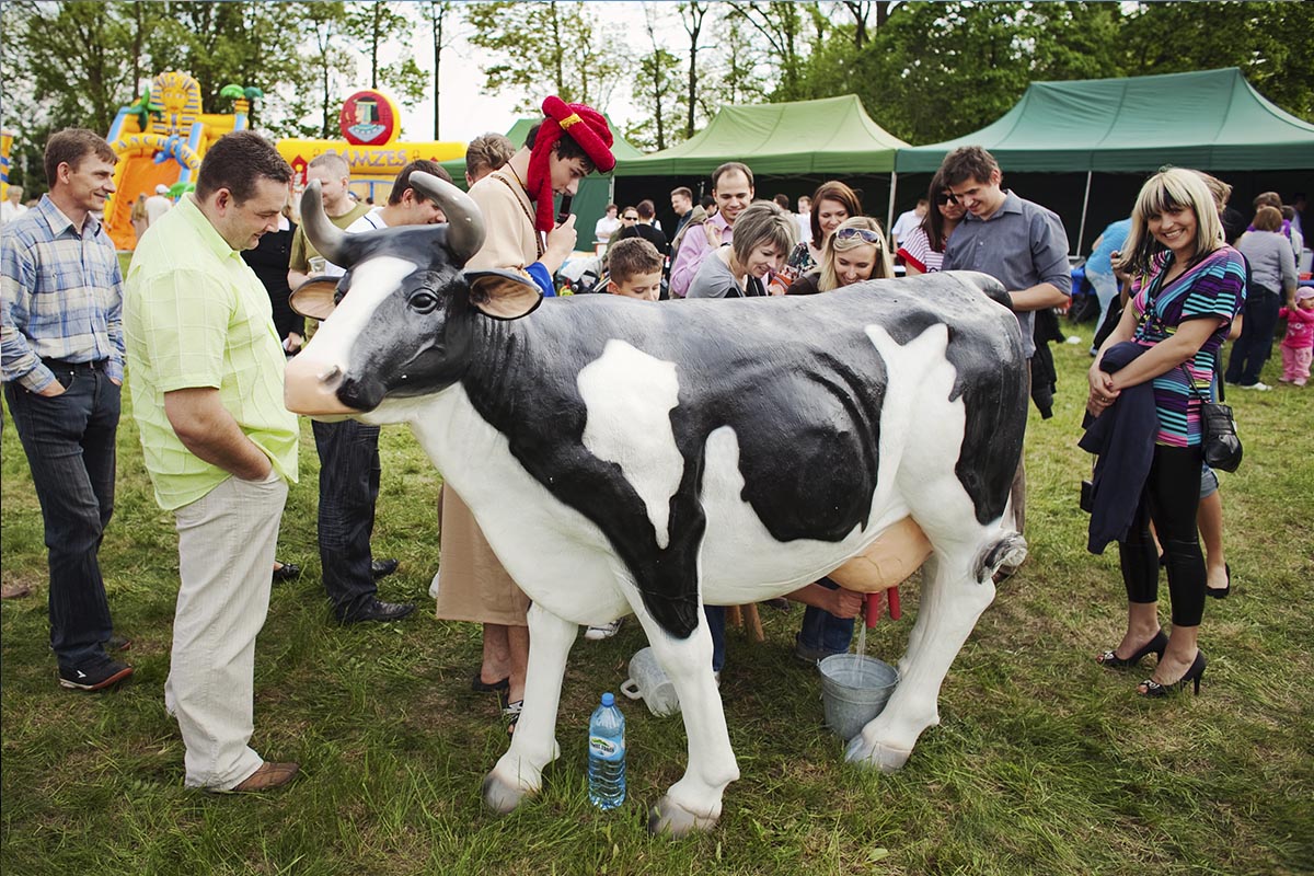 Park atrakcji Arabski - obrazek 8