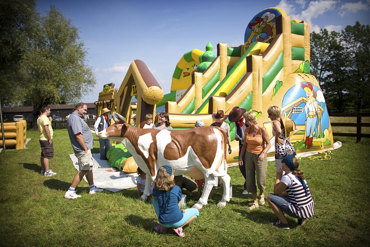 Park atrakcji country zagroda - obrazek 2