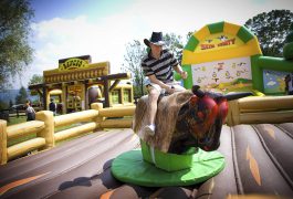 Park atrakcji Country Zagroda - Organizacja imprez