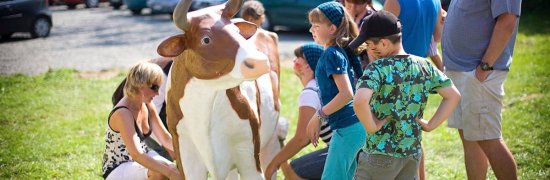 Organizacja imprez - sztuczna krowa do dojenia