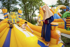 lina-sprezynujaca-arabska-piknik