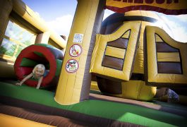 plac-zabaw-zagroda-1