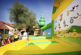 polowanie-na-kaczki-3