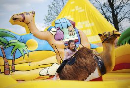 rodeo-oaza-organizacja-imprez