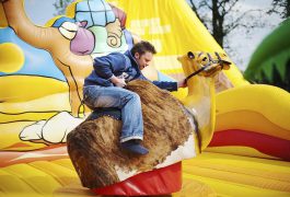 rodeo-oaza-organizacja