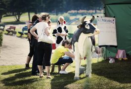 sztuczna-krowa-do-dojenia-organizacja-imprez