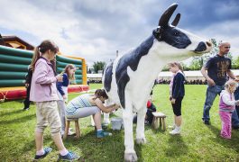 sztuczna-krowa-do-dojenia-organizacja-imprezy