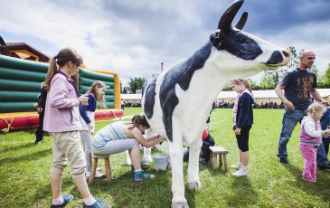 sztuczna-krowa-do-dojenia-organizacja-imprezy