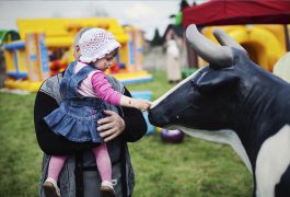 sztuczna-krowa-organizacja-imprez