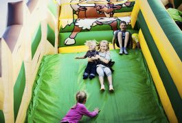 zjezdzalnia-zagroda-4